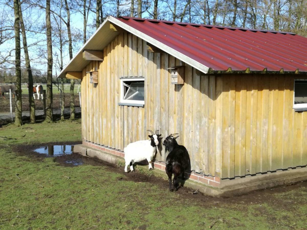 Wohlfuehlurlaub Auf Dem Reit- Und Ferienhof Goldberg Leezdorf Exterior foto