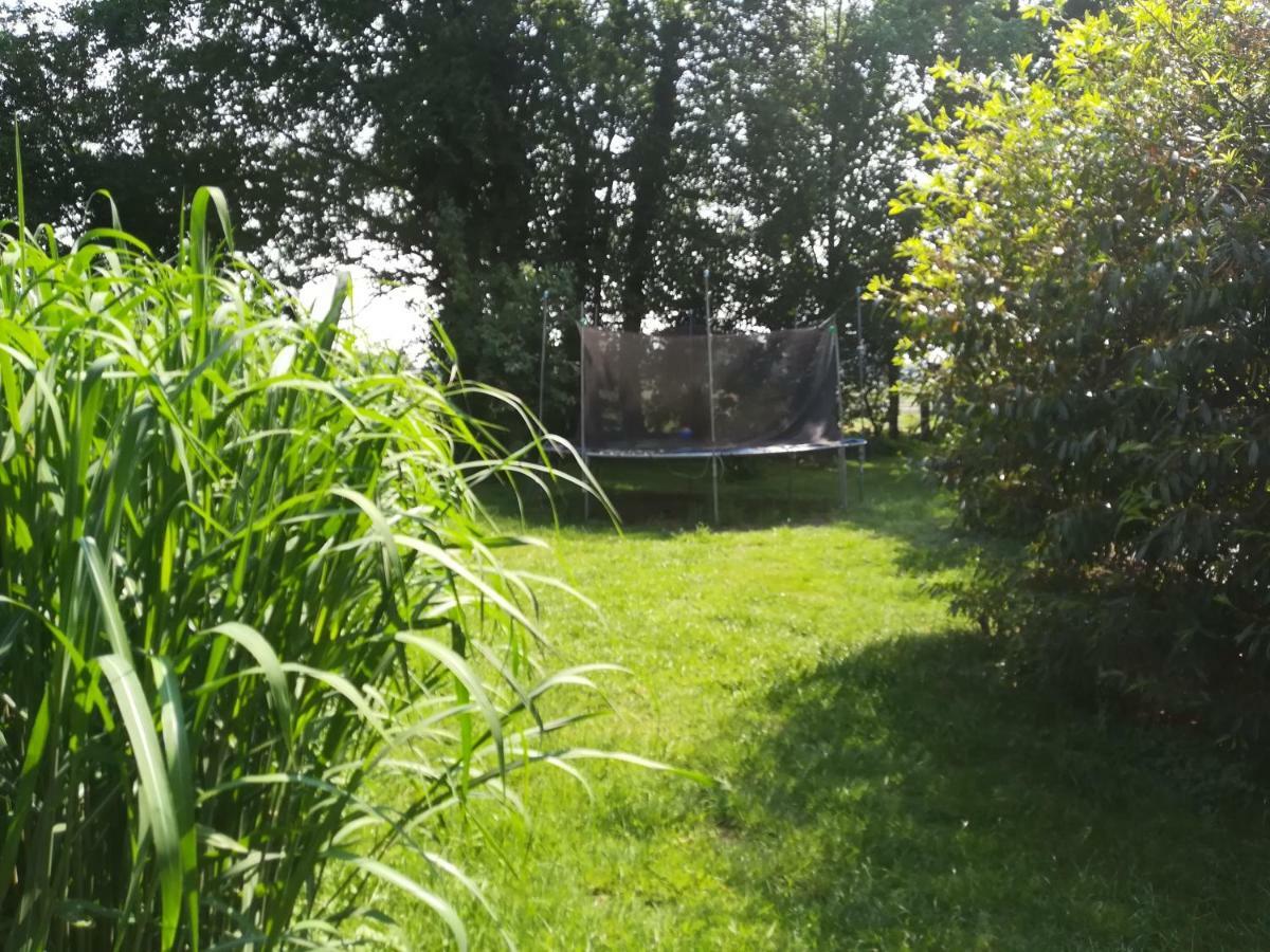 Wohlfuehlurlaub Auf Dem Reit- Und Ferienhof Goldberg Leezdorf Exterior foto
