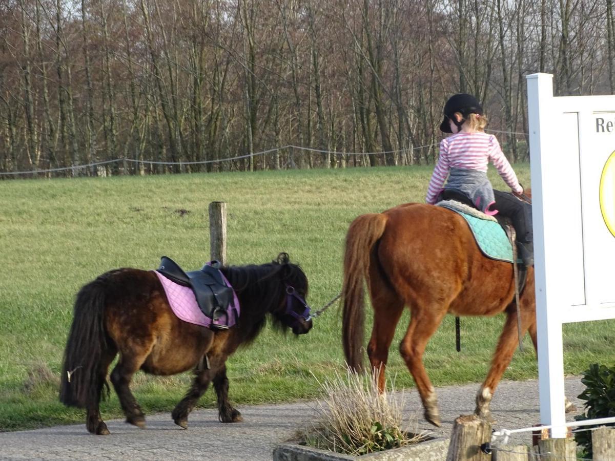 Wohlfuehlurlaub Auf Dem Reit- Und Ferienhof Goldberg Leezdorf Exterior foto